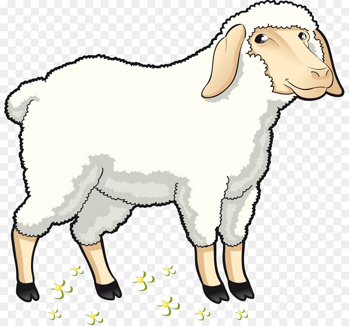 Cừu Dolly năm 1996