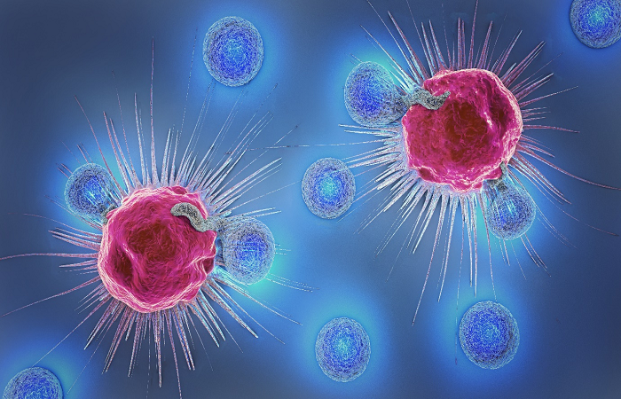 Tế bào NK được ví như một đao phủ tự nhiên trong cơ thể