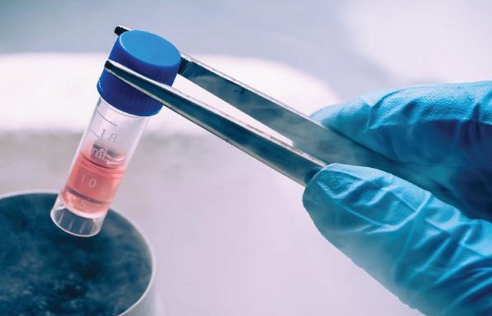 Công nghệ nuôi cấy và phân lập tế bào gốc